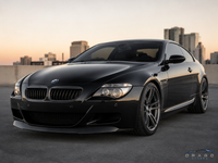 BMW M6/6 Series E63 Carbon Fiber Grille — DC Style 1