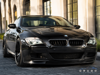 BMW M6/6 Series E63 Carbon Fiber Grille — DC Style 1