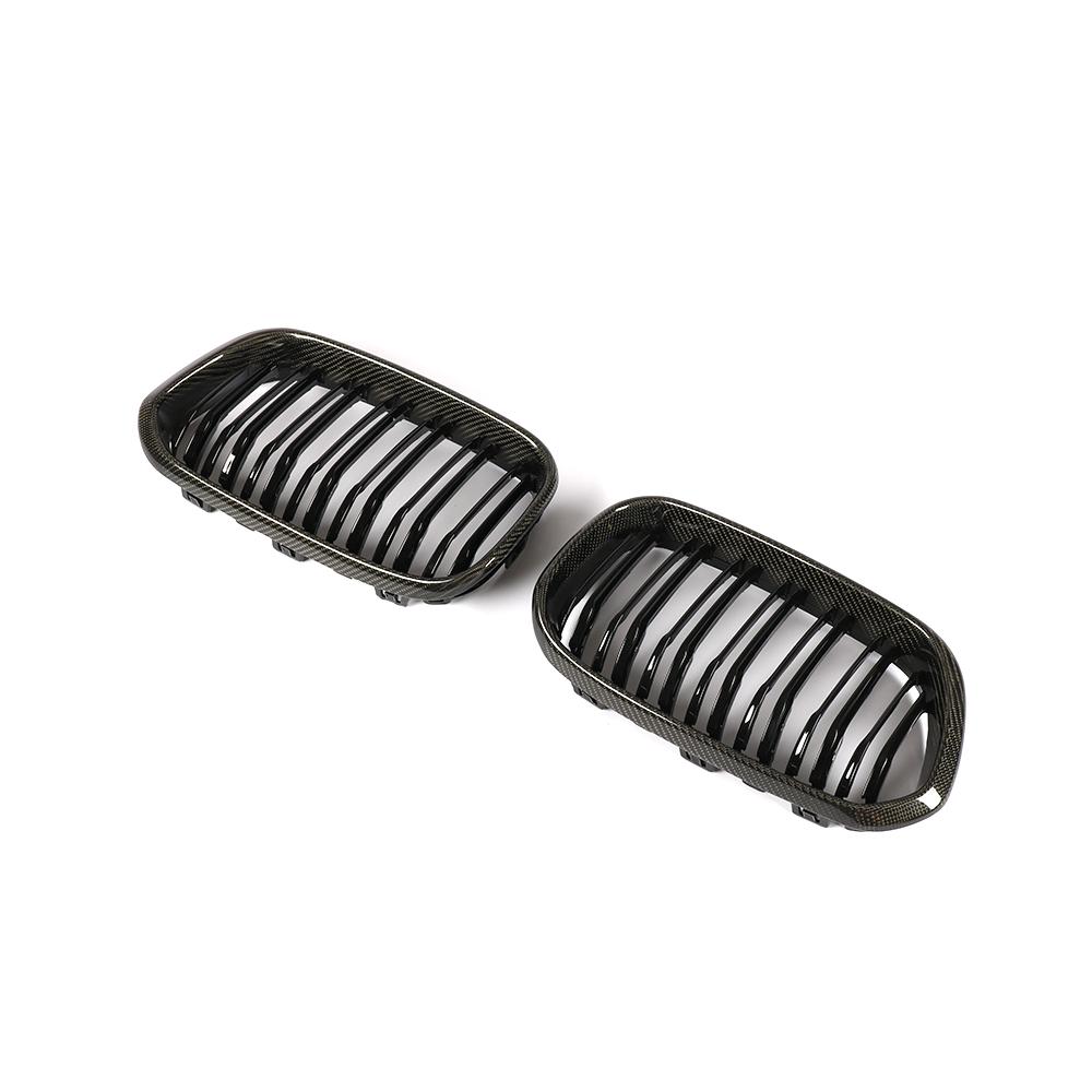 BMW 1 Series F20 Carbon Fiber Grille