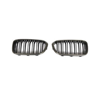 BMW 1 Series F20 Carbon Fiber Grille