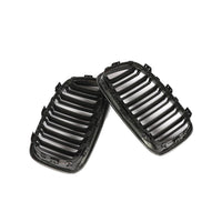BMW 1 Series F20 Carbon Fiber Grille
