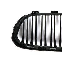 BMW 1 Series F20 Carbon Fiber Grille