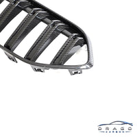 Drago Carbon