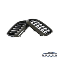 Drago Carbon