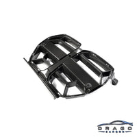 Drago Carbon